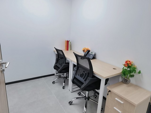 浙江求购仿真植物